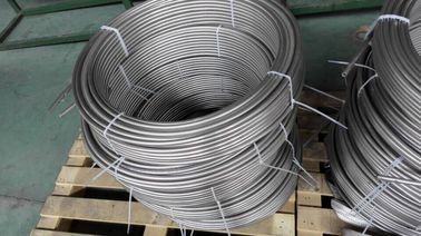 ราคาดี ASTM A213, ASTM A269, EN10216-5 Seamless SS Pipe ท่อขดสแตนเลสสำหรับสายท่อความร้อน ออนไลน์